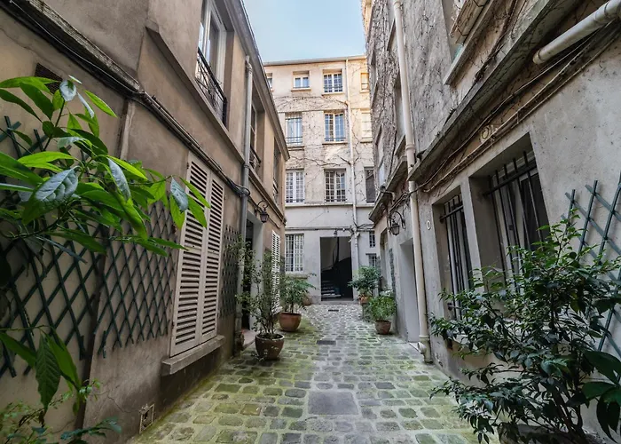 Elegant And New * 파리